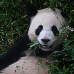 Picture of Joshua Bowen