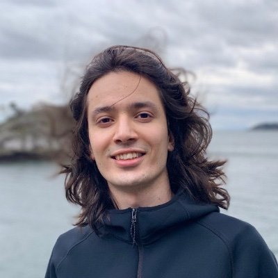 Picture of Mohammad Jahanara