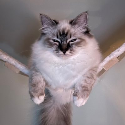 Picture of Ugur Mersinlioglu